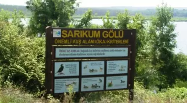 Sinop Sarıkum Tabiatı Koruma Alanı
