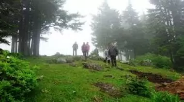 Giresun Efendioğlu Hanyanı Tabiat Parkı