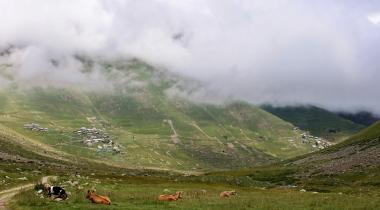 Rize Verçenik Yaylası Kamp Alanı