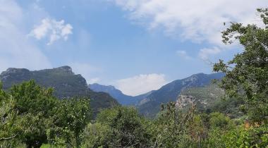 Nazarköy Dere Camping & Restaurant