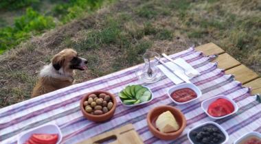 Nazarköy Dere Camping & Restaurant