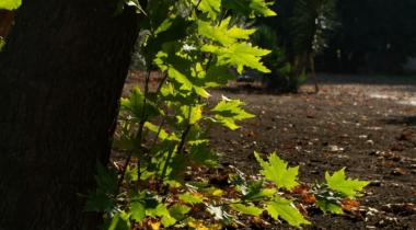 222 Camping