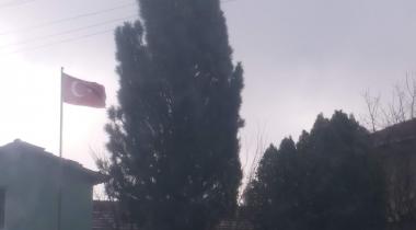 Kütahya Vakıf Çamlığı Tabiatı Koruma Alanı