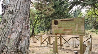 Karagöl Yaylası