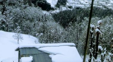 Artvin Camili Gorgit Tabiatı Koruma Alanı
