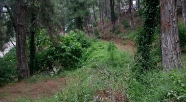 Hatay Belen Güzelyayla (Soğukoluk) Mesire ve Kamp Alanı
