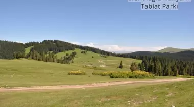 Giresun Efendioğlu Hanyanı Tabiat Parkı