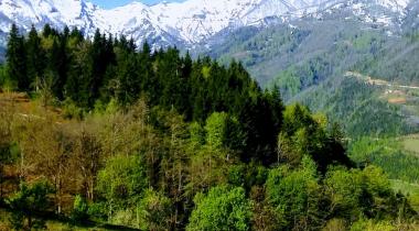 Artvin Camili Gorgit Tabiatı Koruma Alanı