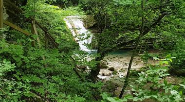 Samsun Hacıosman Ormanı Tabiatı Koruma Alanı