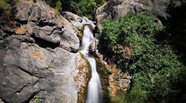 Hasanboğuldu Piknik Alanı