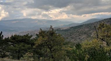 Karabük Eskipazar Türbe Çamı Tabiat Anıtı