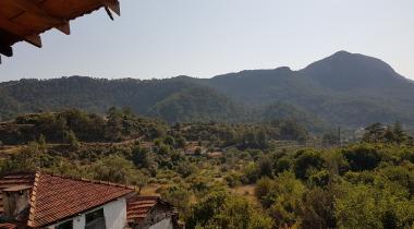 Muğla Bayır Servi Ağacı Tabiat Anıtı
