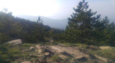 Balıkesir Kazdağı Göknarı Tabiatı Koruma Alanı