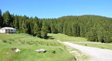 Giresun Efendioğlu Hanyanı Tabiat Parkı