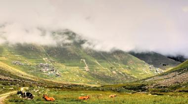 Rize Verçenik Yaylası Kamp Alanı