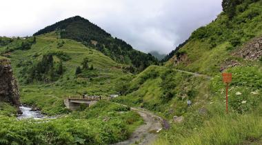 Rize Verçenik Yaylası Kamp Alanı