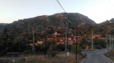 Muğla Bayır Servi Ağacı Tabiat Anıtı