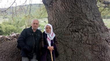 Eskişehir Piribaba Meşesi Tabiat Anıtı