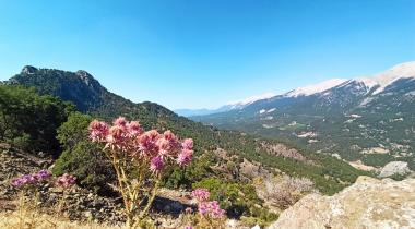 Antalya Dibek Tabiat Koruma Alanı