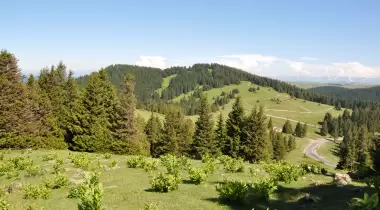 Giresun Efendioğlu Hanyanı Tabiat Parkı