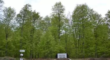 Eriklitepe Tabiat Parkı