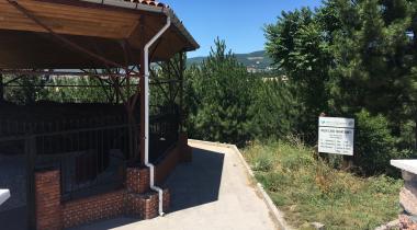 Kütahya Mızık Çamı Tabiat Anıtı