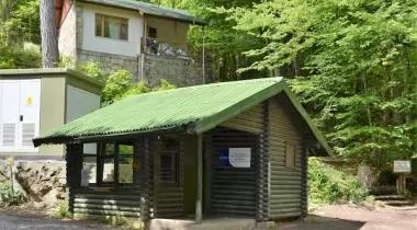 Bolu Kale Fındığı Tabiatı Koruma Alanı