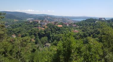 İstanbul Beykoz Göknarlık Tabiatı Koruma Alanı