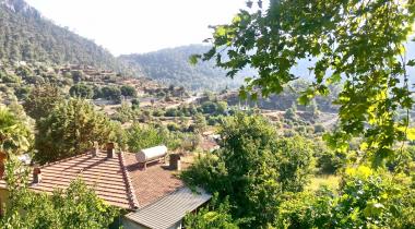 Muğla Bayır Çınarı Tabiat Anıtı