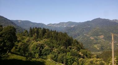 Artvin Camili Gorgit Tabiatı Koruma Alanı