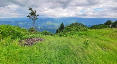 Trabzon Hıdırnebi Yaylası Kamp Alanı