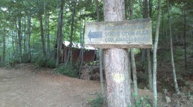 Dipsiz Göller Piknik Alanı