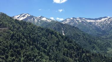 Artvin Camili Gorgit Tabiatı Koruma Alanı