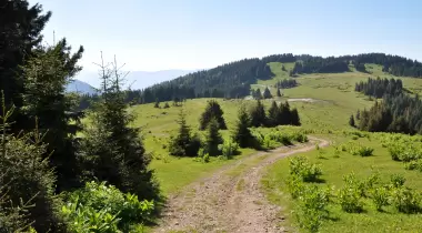 Giresun Efendioğlu Hanyanı Tabiat Parkı