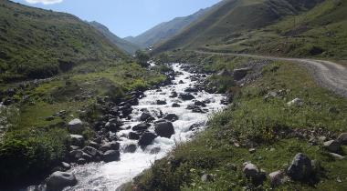 Rize Verçenik Yaylası Kamp Alanı