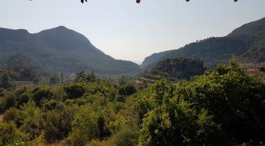 Muğla Bayır Servi Ağacı Tabiat Anıtı