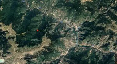 Gümüşhane Örümcek Ormanı Ladini - 3 Tabiat Anıtı