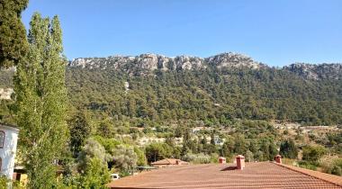 Muğla Bayır Çınarı Tabiat Anıtı