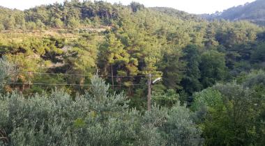 Hatay Belen Güzelyayla (Soğukoluk) Mesire ve Kamp Alanı