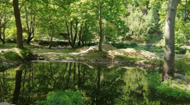 Dipsiz Göller Piknik Alanı