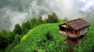 Artvin Camili Efeler Köyü Unesco Biyosfer Rezerv Alanı