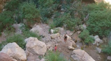 Kelebek Vadisi Kamp Alanı