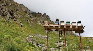 Rize Verçenik Yaylası Kamp Alanı