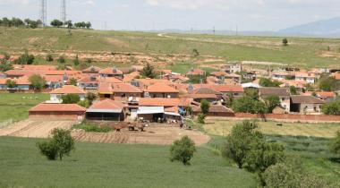 Afyon Koruluk Kermes Meşesi - 1 Tabiat Anıtı