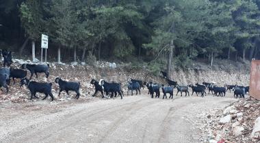 Antalya Alacadağ Tabiatı Koruma Alanı