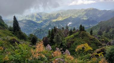 Trabzon Hıdırnebi Yaylası Kamp Alanı
