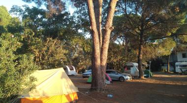 Altın Camp