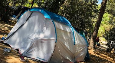 Altın Camp