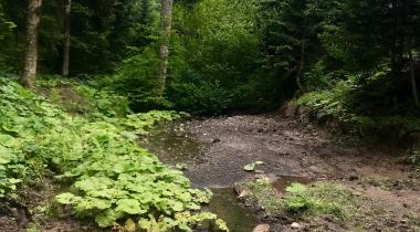 Sinop Akgöl Tabiat Parkı