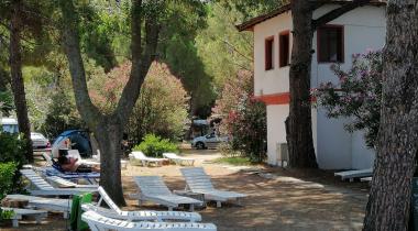 Altın Camp